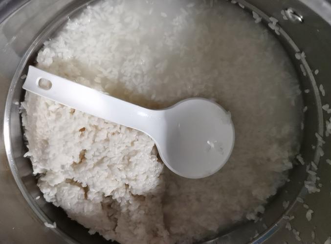 出租房小锅怎么蒸米饭