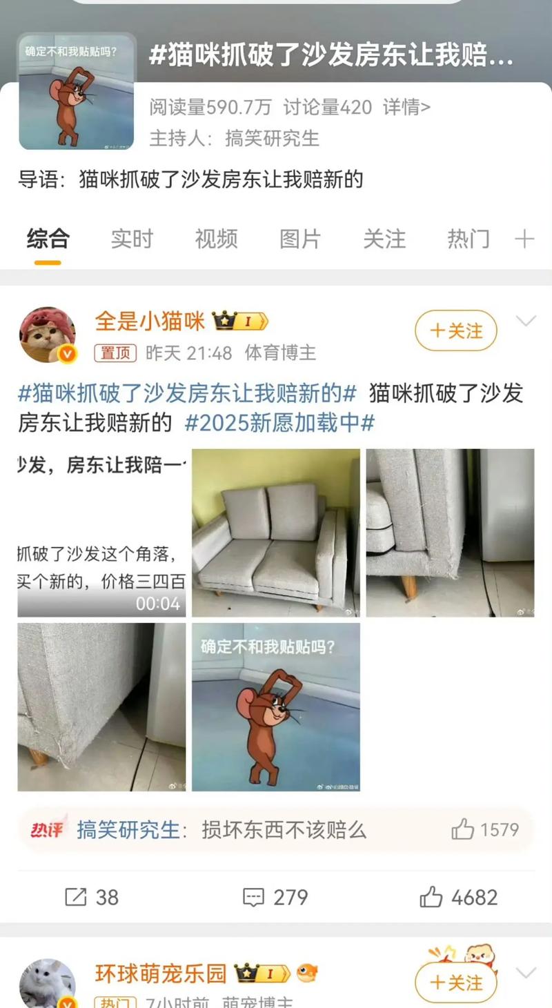 租房猫抓沙发怎么办