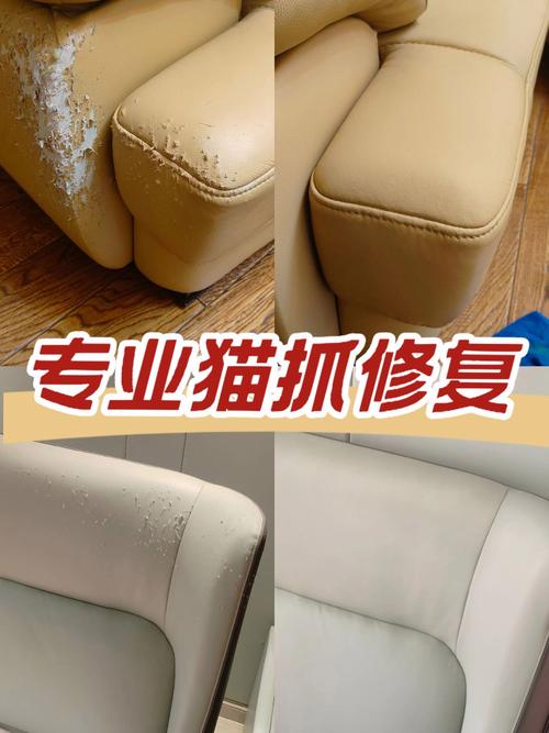 租房猫抓沙发怎么办