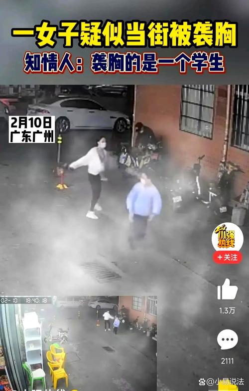 广州金碧花园凶杀案
