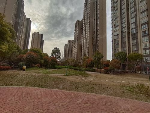蚌埠星河世纪城房价