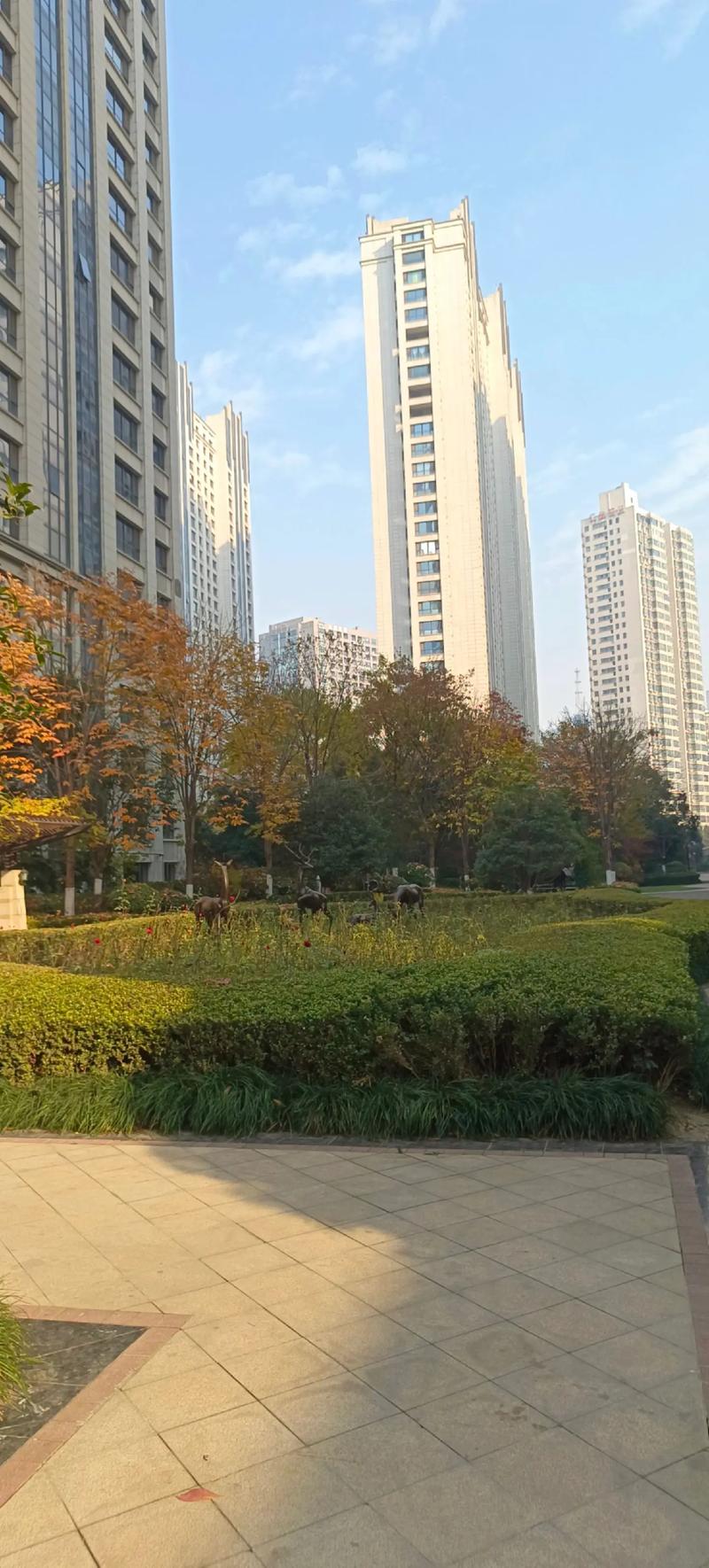 雁塔区新楼盘