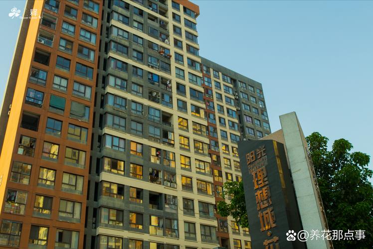 t字型楼盘