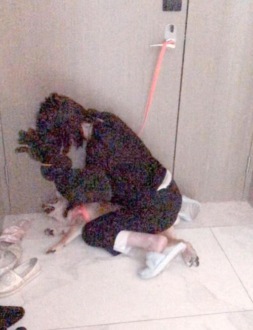 邯郸京珠花园放狗咬人
