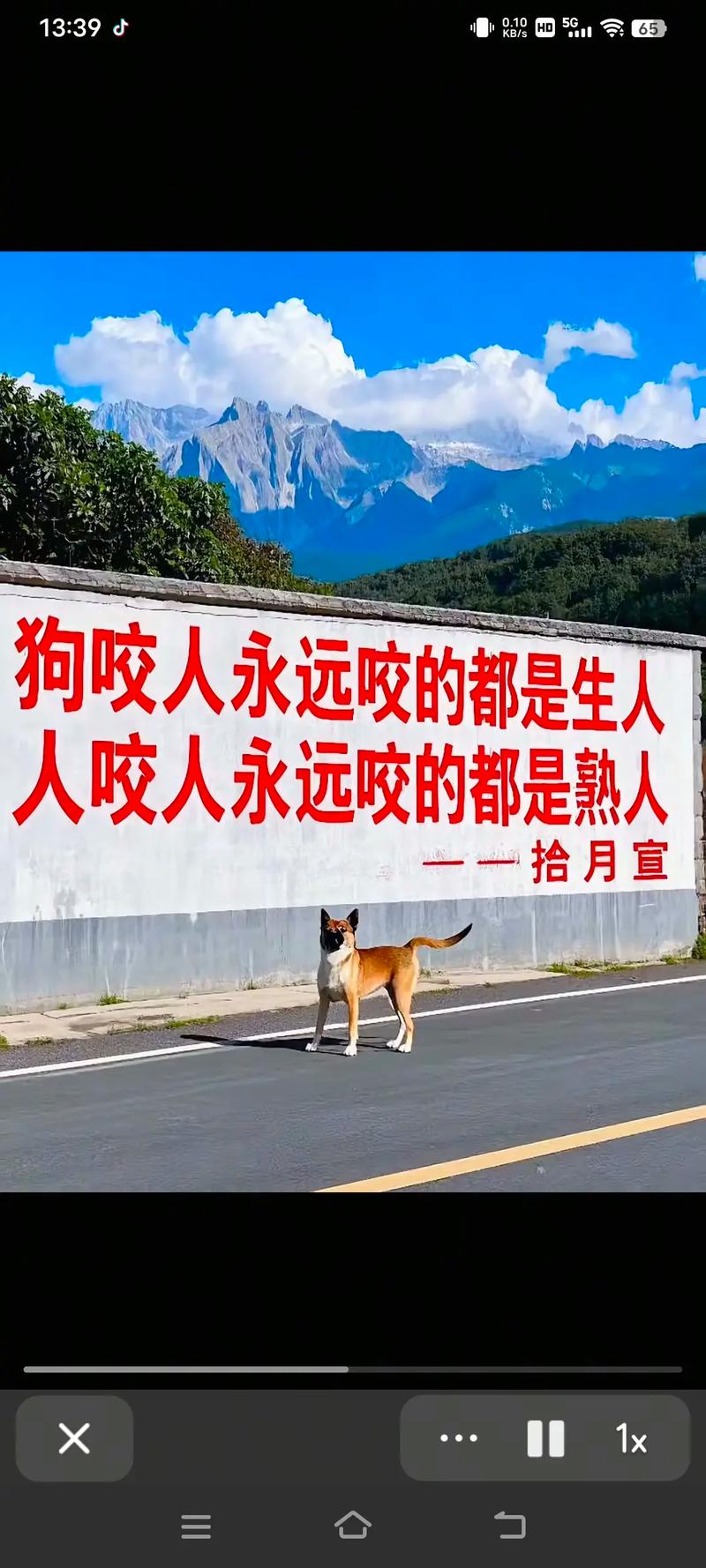 邯郸京珠花园放狗咬人