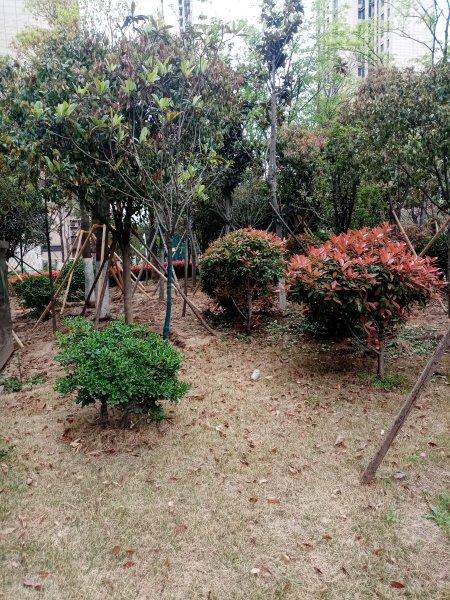 郑州姚桥路双湖花园