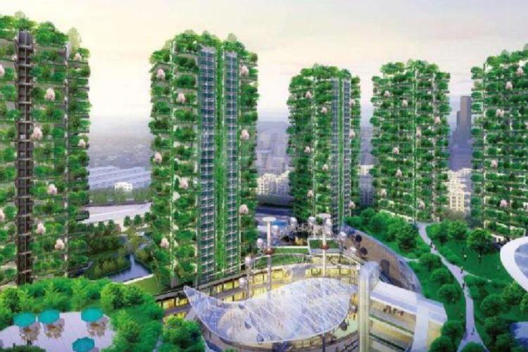 城市森林花园是骗局吗
