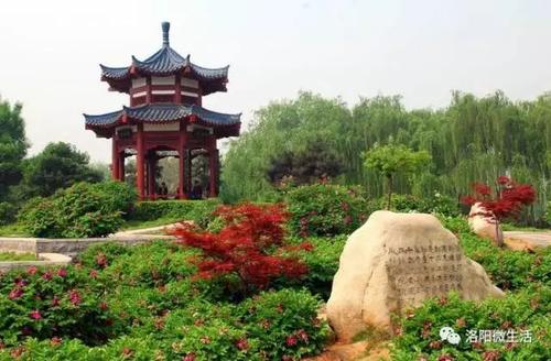 洛阳桂花园洗浴特服