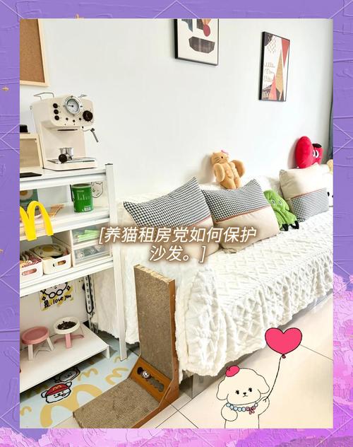 租房猫咪抓沙发怎么办