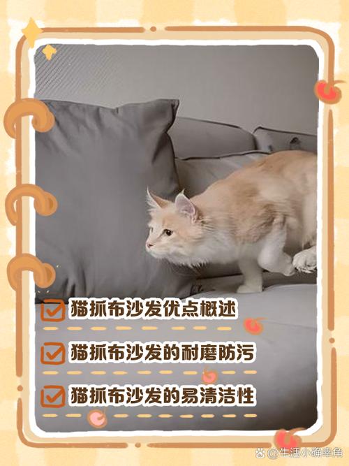 租房猫咪抓沙发怎么办