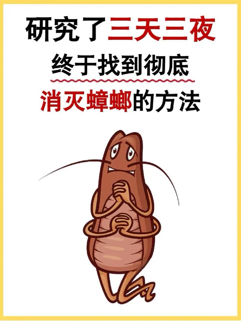 出租房的蟑螂怎么杀