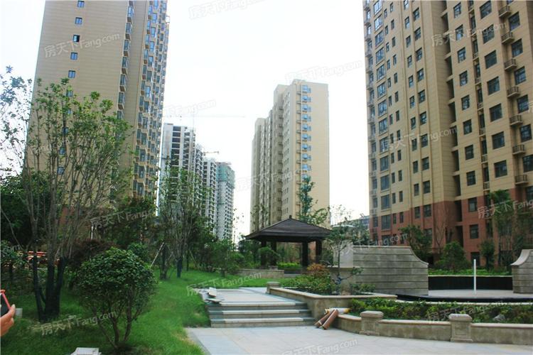 商丘青岛花园杀人案