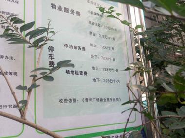 青年广场房价
