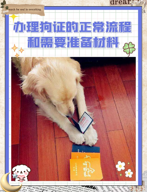 福州租房怎么办狗证