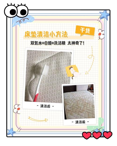 怎么清洗出租房床垫