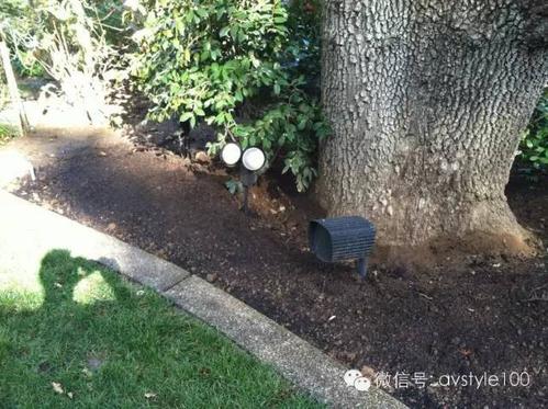 被老外狂挺后花园