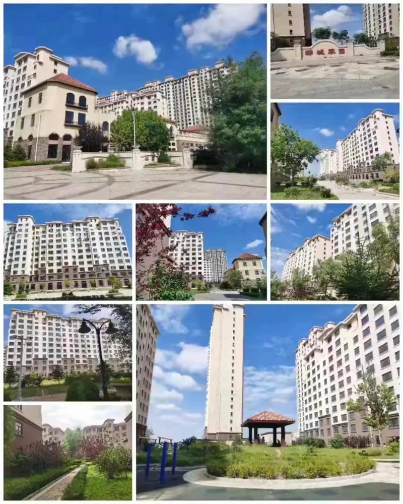 大连花园口新闻
