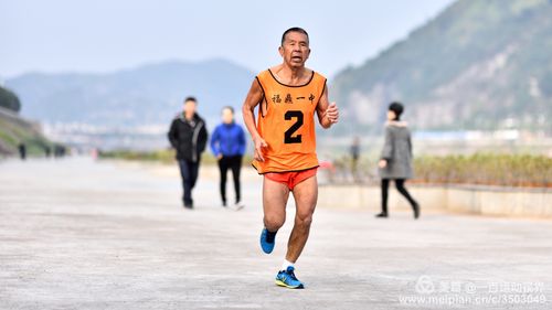 福鼎房价2017