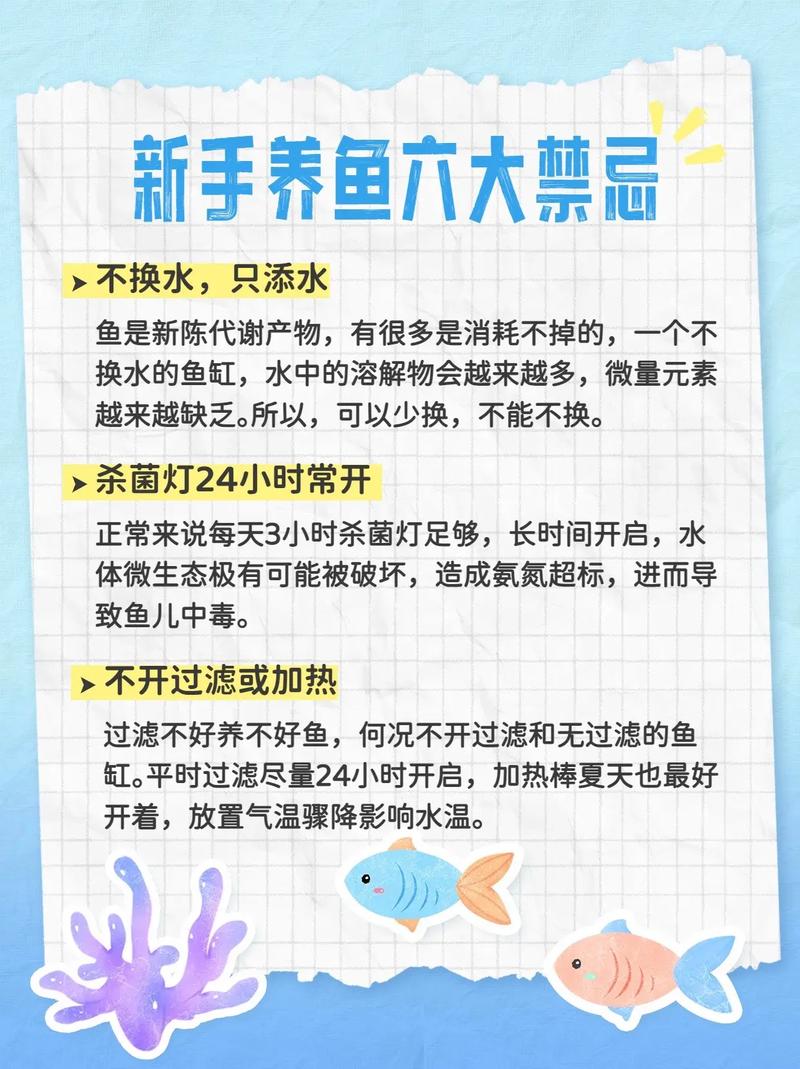 租房养的鱼怎么办