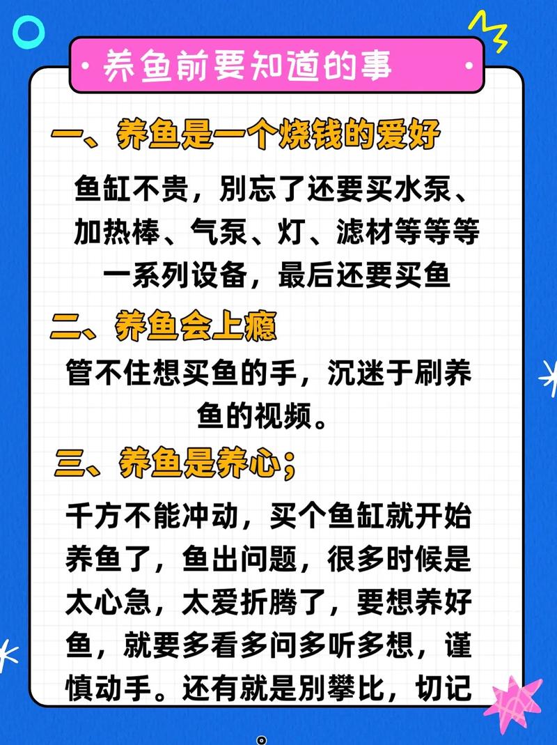 租房养的鱼怎么办