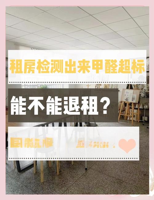 怎么看出租房甲醛