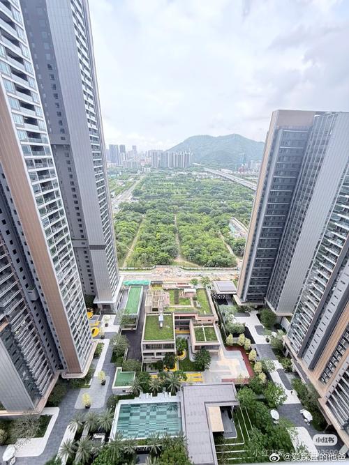 深圳双喜楼盘