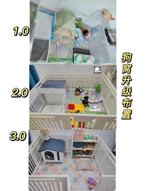 出租房养狗怎么布置