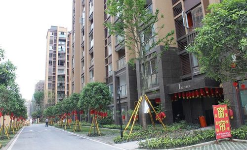 新鸿洋花园好久交房