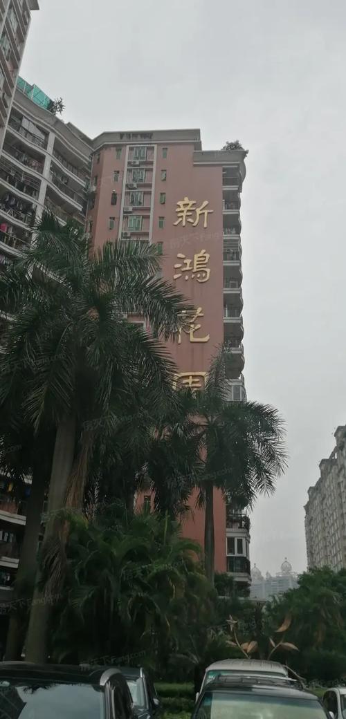 新鸿洋花园好久交房