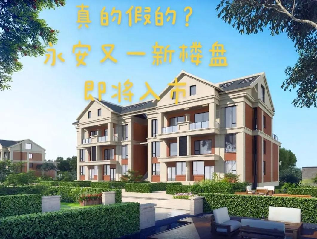 龙山新楼盘