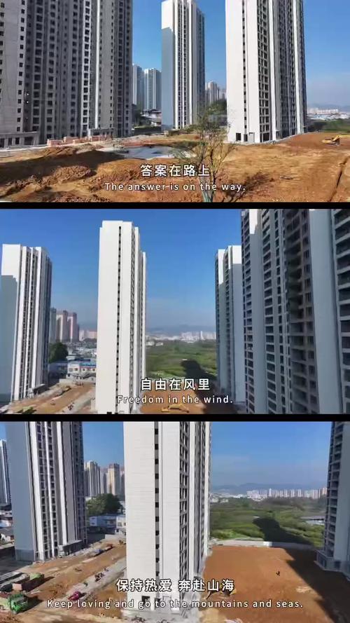 龙山新楼盘