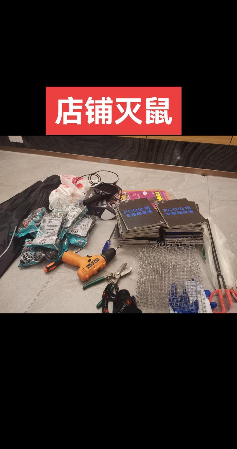 深圳租房有老鼠怎么办