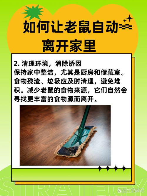 深圳租房有老鼠怎么办