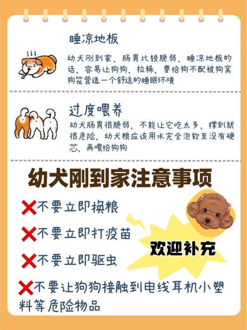租房养狗回家怎么办