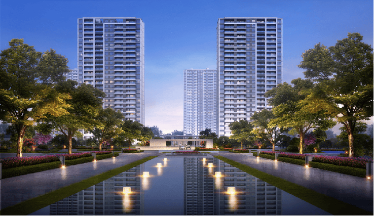 龙湾新楼盘