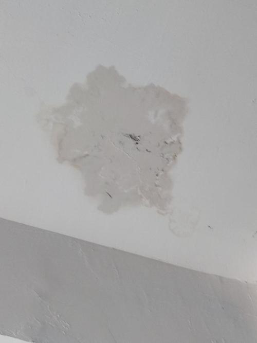 租房屋顶漏雨怎么办
