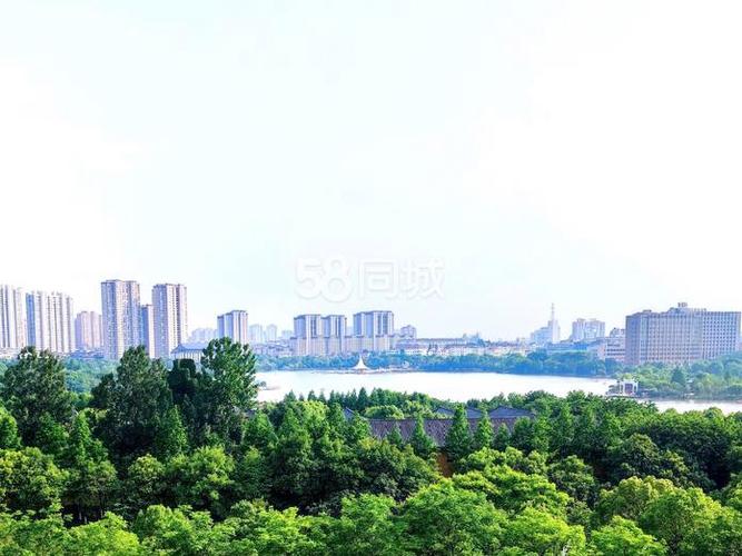 君和皇家花园业主群