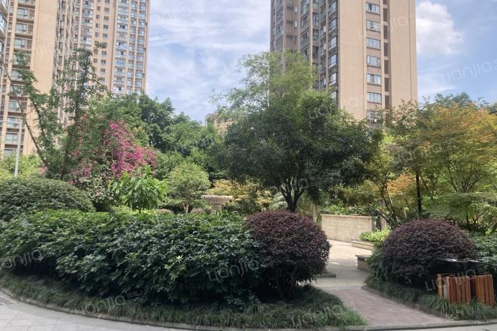 成都香木林花园里