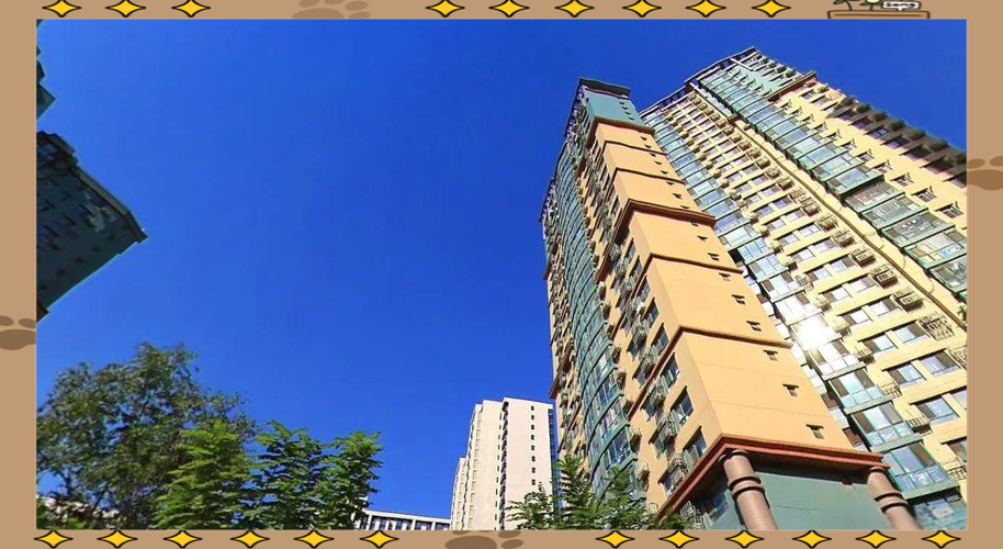 北京学区楼盘