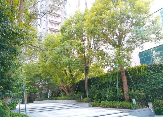 深圳市城市绿洲花园