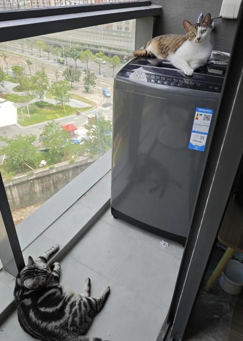 洗衣机怎么选租房