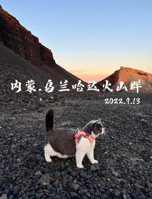 内蒙古怎么租房车