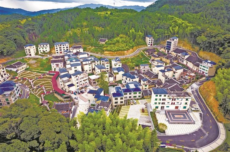 周宁新楼盘