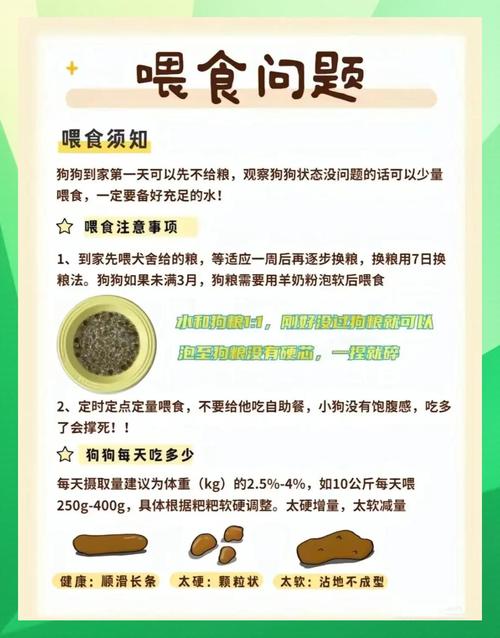 养狗租房怎么办