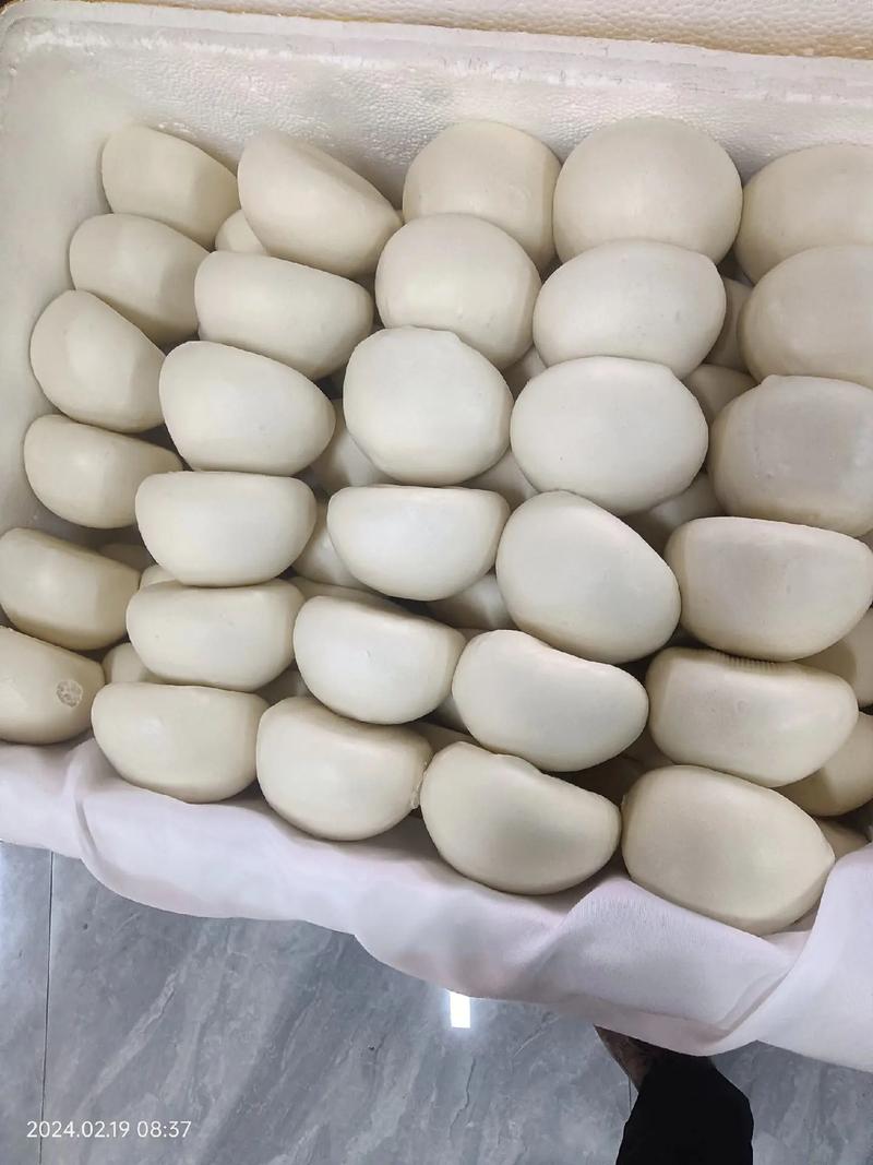 出租房怎么热馒头