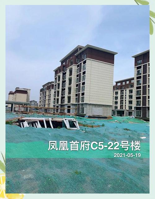 故城凤凰花园新楼出售