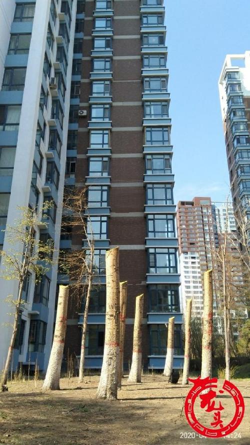 哈尔滨北岸明珠房价