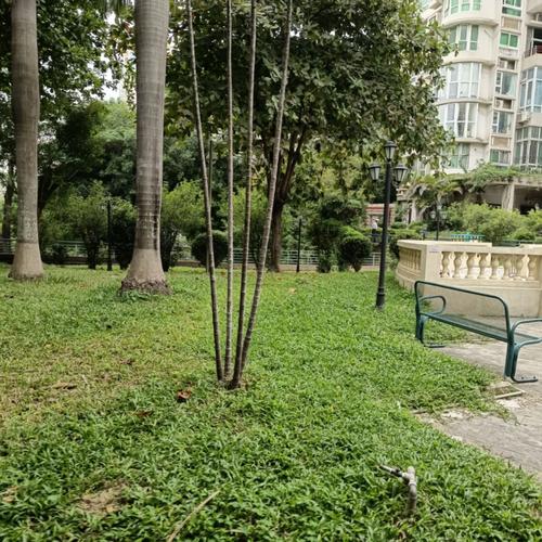 创世纪滨海花园 命案