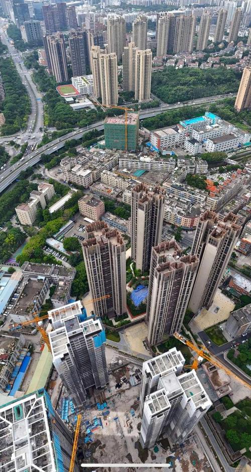 龙岗新开楼盘