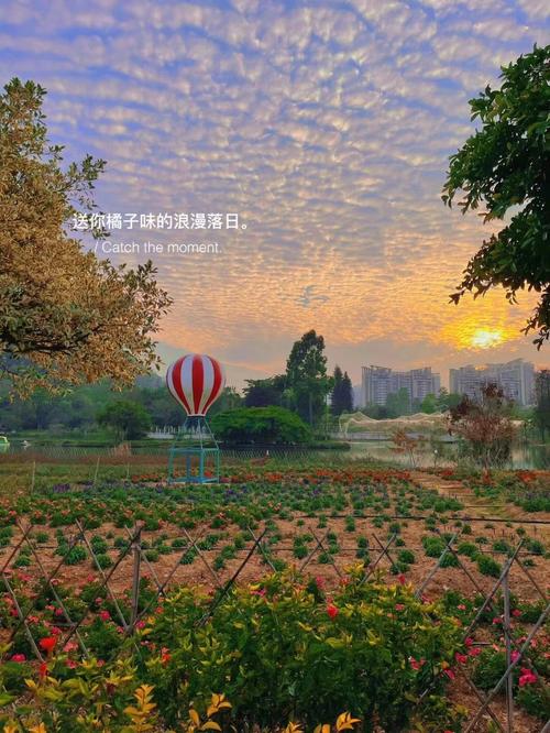 浦州花园房价